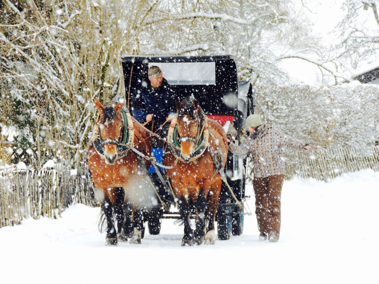 Winter Horse-drawn Carriage Tour in Garmisch-Partenkirchen